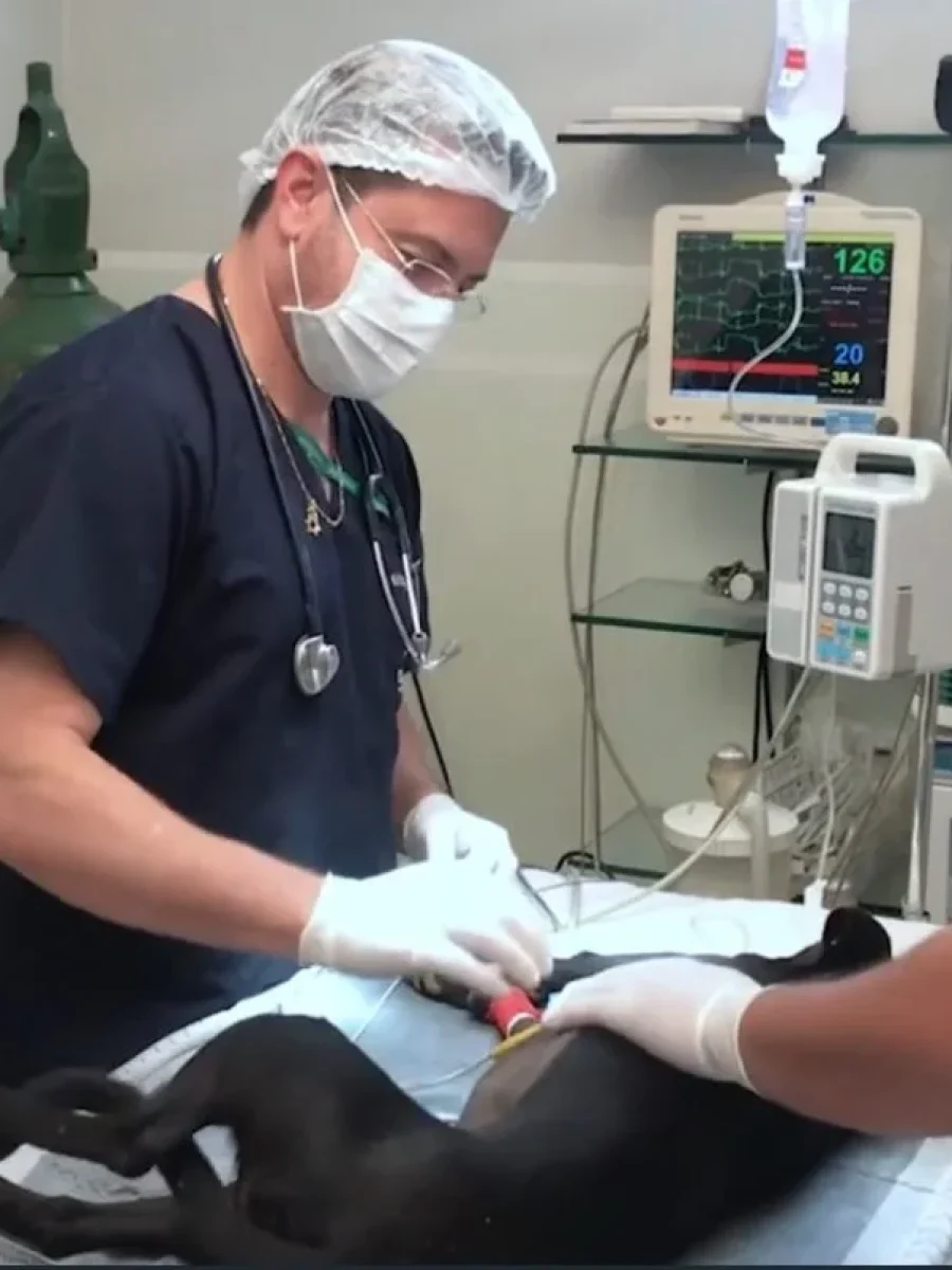 CIRURGIA-GERAL-1280x804